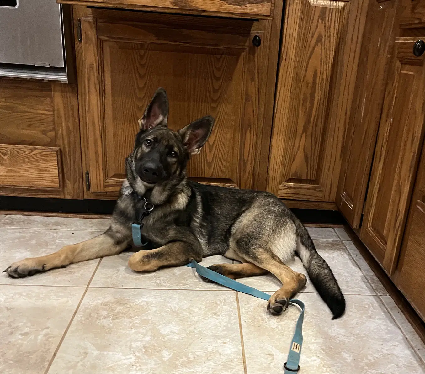 Kira image 2