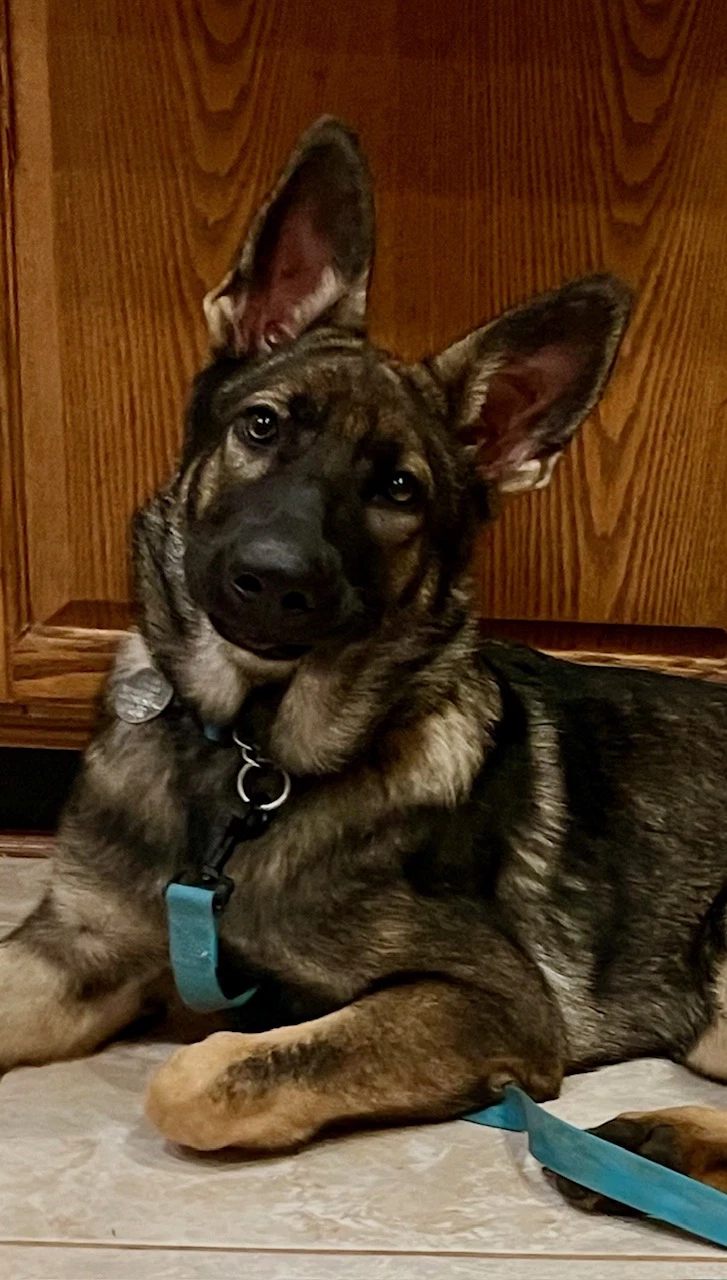 Kira
