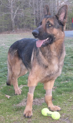 Gunther