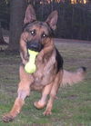 Gunther