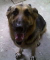 Shiloh