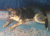 Cissy 2876