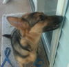 Cissy 2876