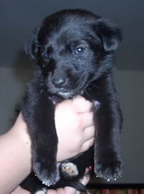 Twixy