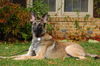 Andy 2858