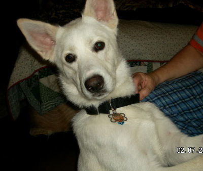 TOBY
