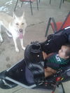Bugsy 3304