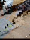 Sheba 4000