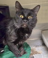 MOSBY - Photo 1