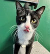 SMUDGE - Photo 1