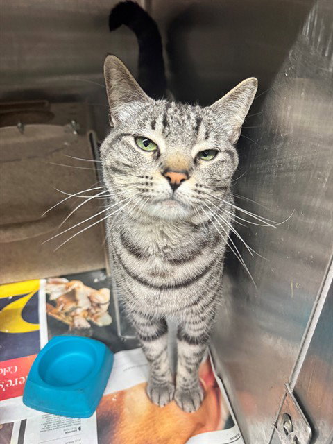 Xavier