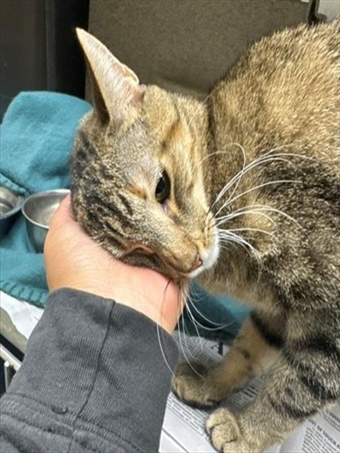 TUNA