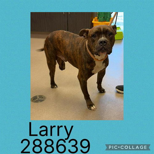 LARRY