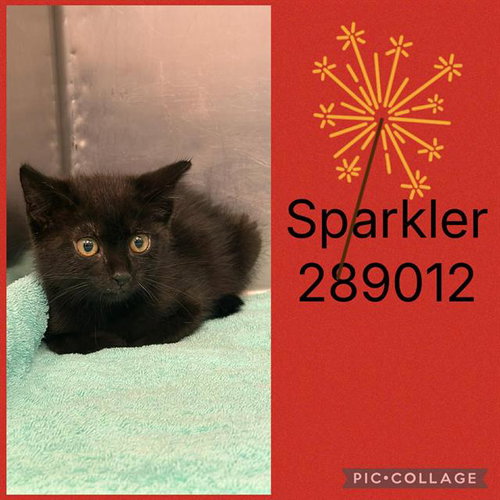 Sparkler