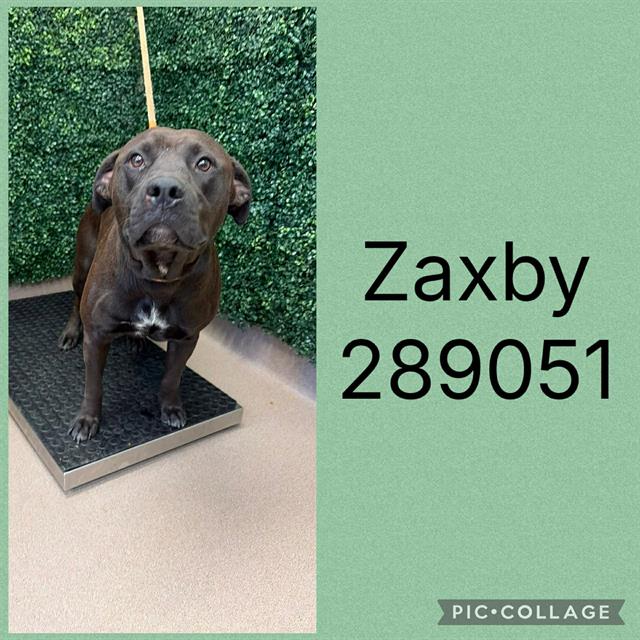 ZAXBY