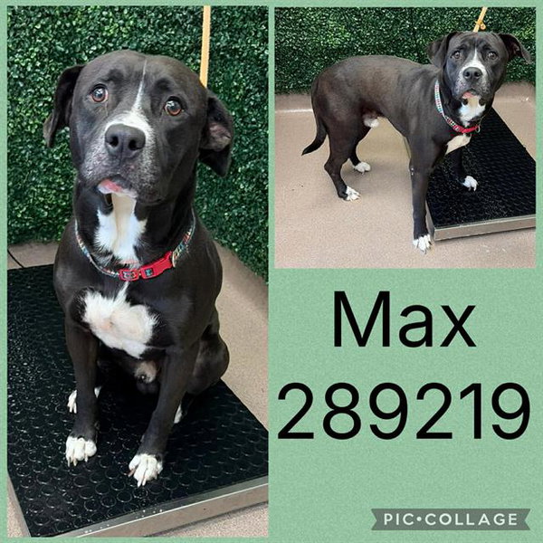 MAX
