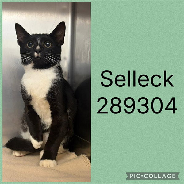 SELLECK