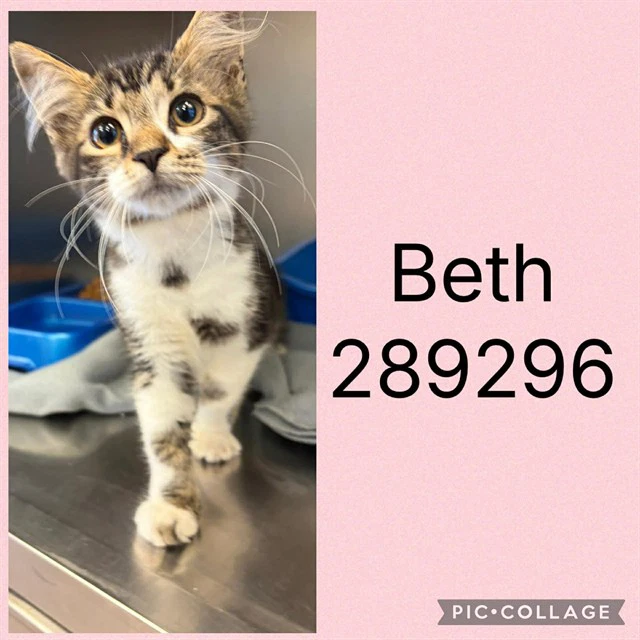 Beth