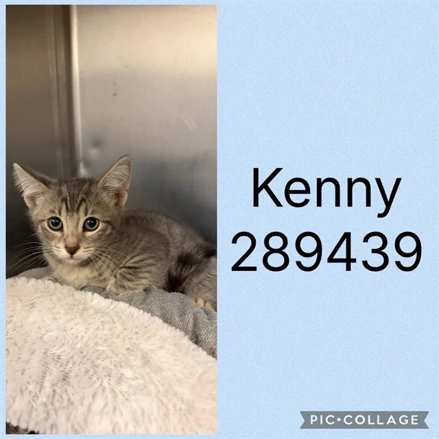 Kenny