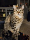 Stargazer - Photo 2