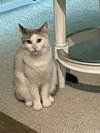 Elodie - Photo 2