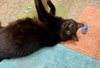 Princess - Photo 2