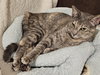 Solo - Photo 4