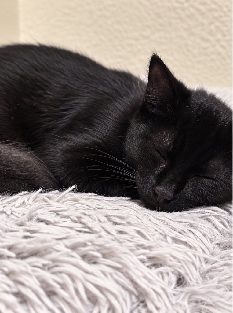 Agamemnon, photo 2