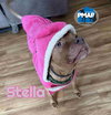 Stella - Photo 1