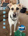 Tucker - Photo 2