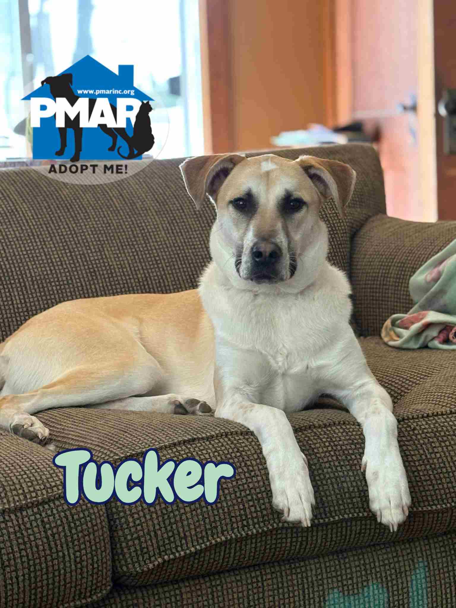 Tucker