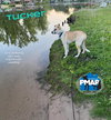 Tucker - Photo 4