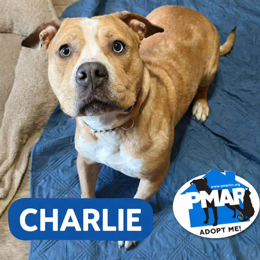 Charlie