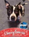 Cherry Garcia - Photo 1