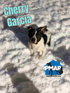 Cherry Garcia - Photo 4