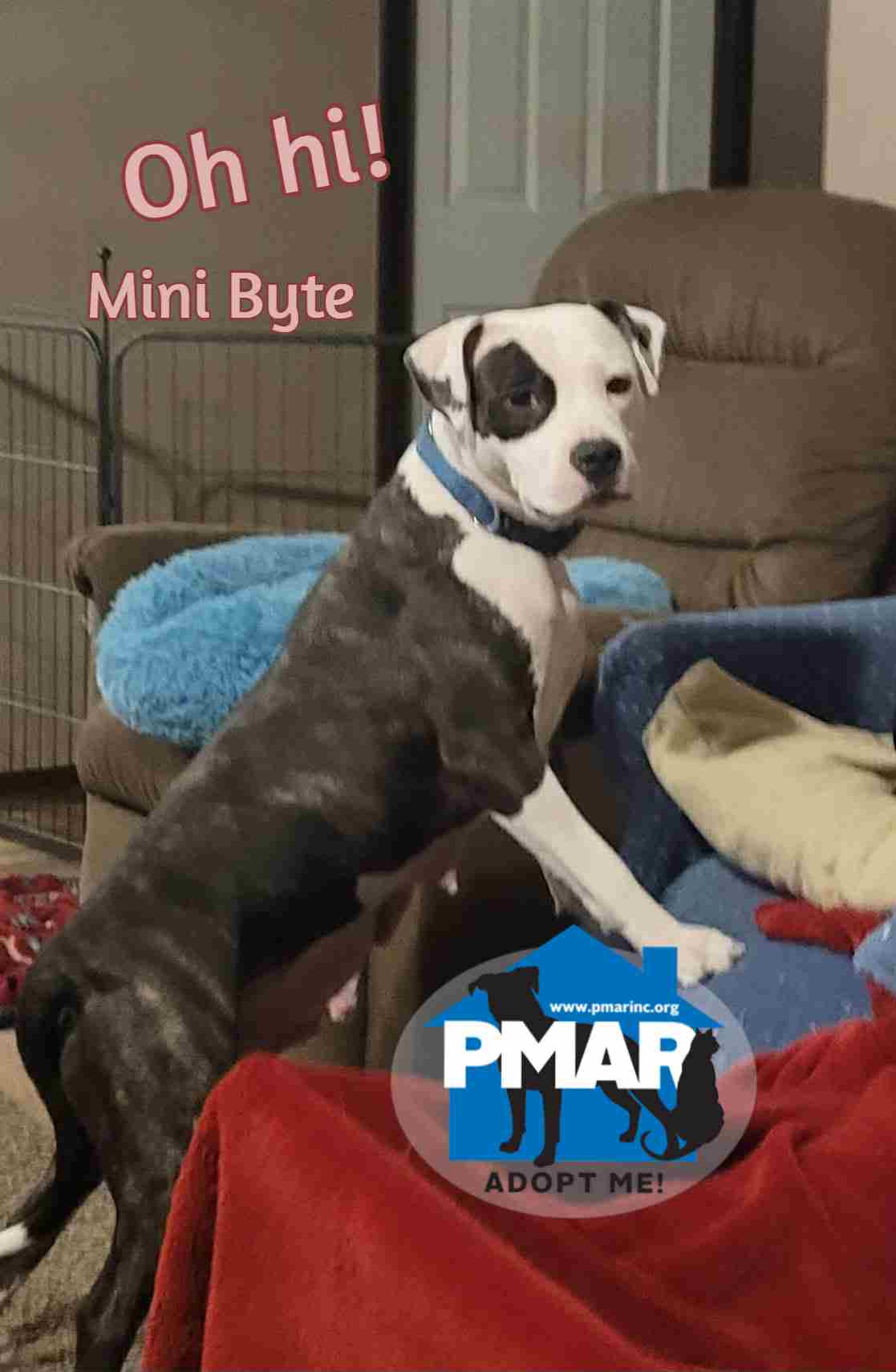 Mini Byte image 2