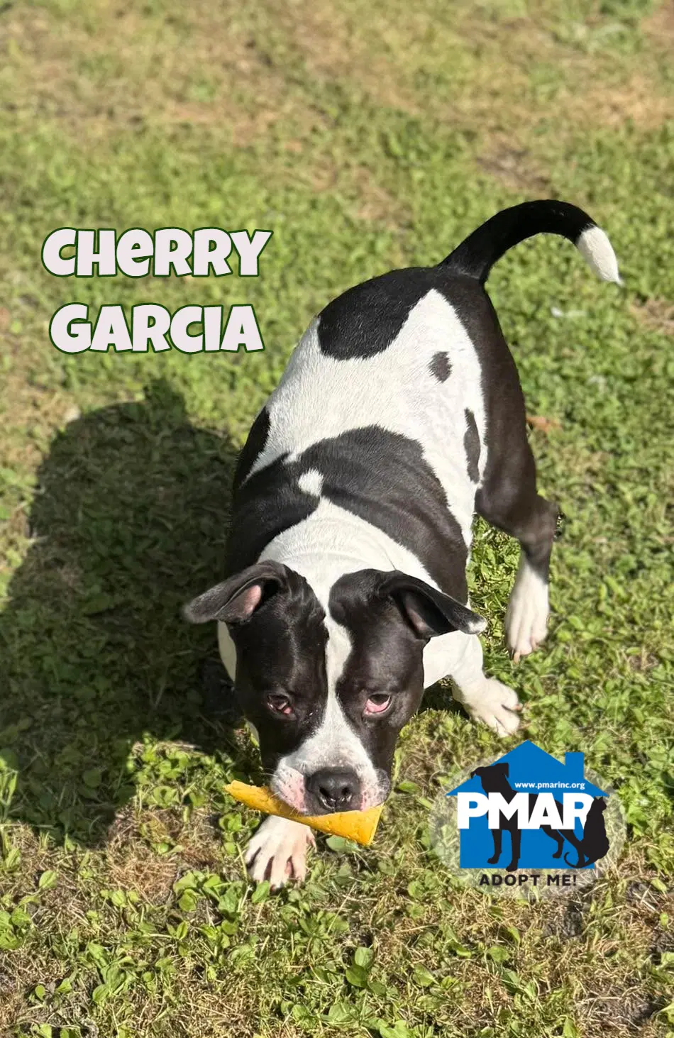 Cherry Garcia image 3