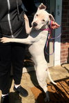 Savannah - Photo 3