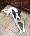LEELA - “Silly Rabbit” - Photo 3