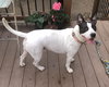 LEELA - “Silly Rabbit” - Photo 4