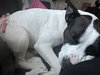 LEELA - “Silly Rabbit” - Photo 5