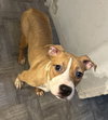 BABY DAISY - “Sugar Baby” - Photo 3