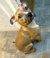 BABY STAXX -“Silly Boy” - Photo 3