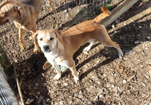 Photo 2 of Sophie