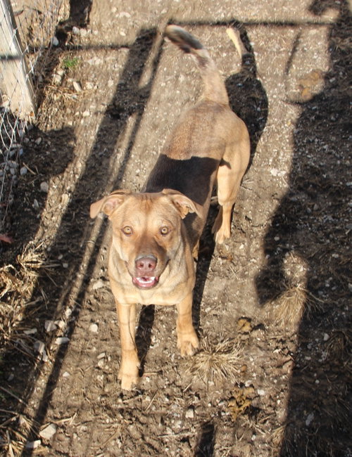 Photo 2 of Lil Mac