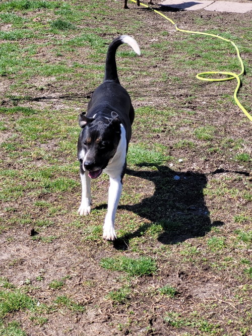Photo 4 of Dot