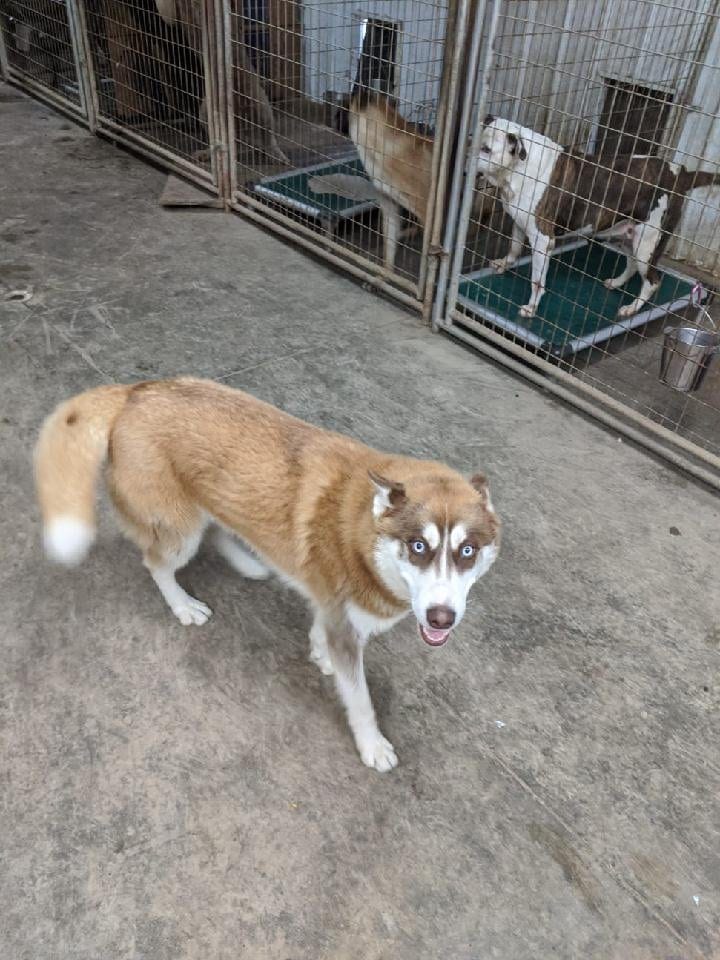 Marco