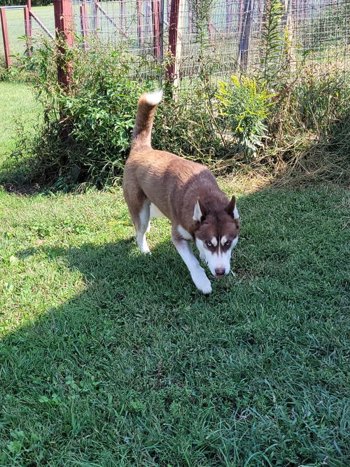 Photo 3 of Marco