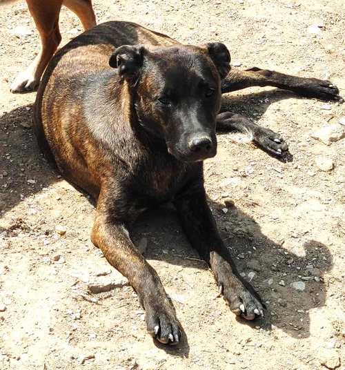 Photo 2 of Cassidy