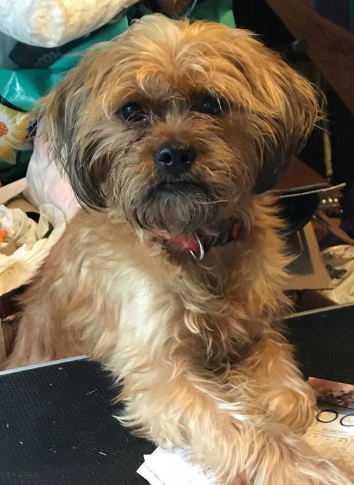 Max